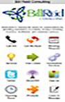 Billconsulting2