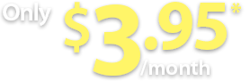 Only $3.95 Per Month