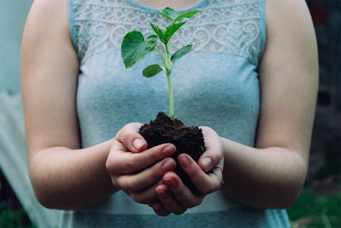 Girl Holding Seedling