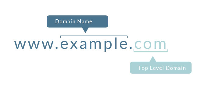 Learn more about domains, what are domains and why you need one