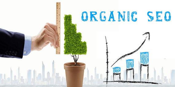 Organic SEO is very important for your site