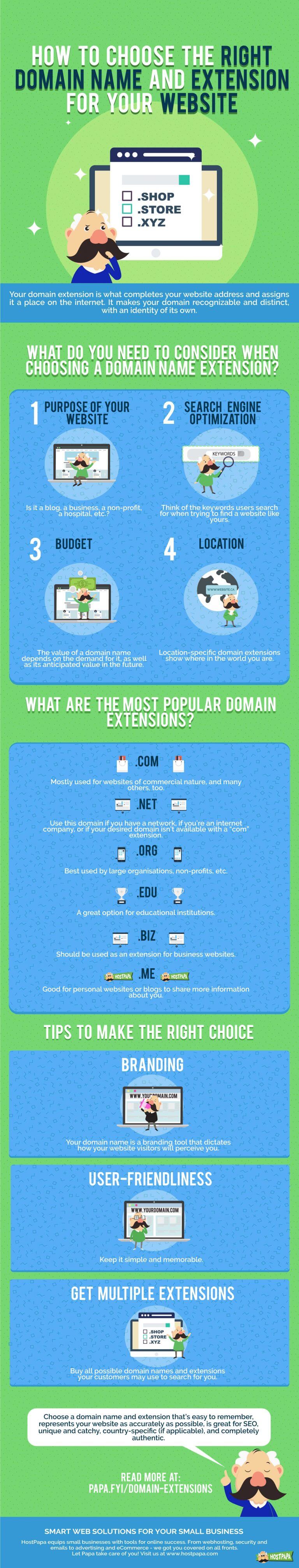 Infographic Choosing The Right Domain Name and Extension For Your site
