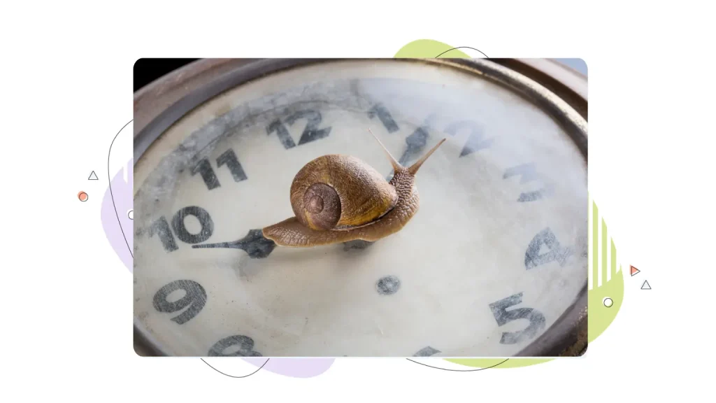 Snail moving on a watch