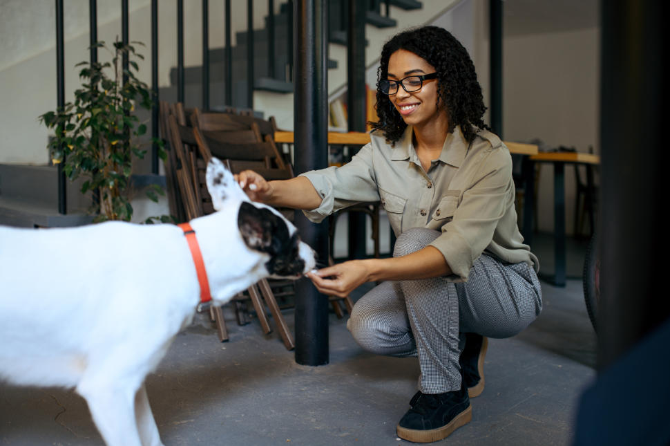 Pretty female student in glasses feed the dog in cafe. Woman learning a subject in coffeehouse, education and food. Girl studying in campus cafeteria