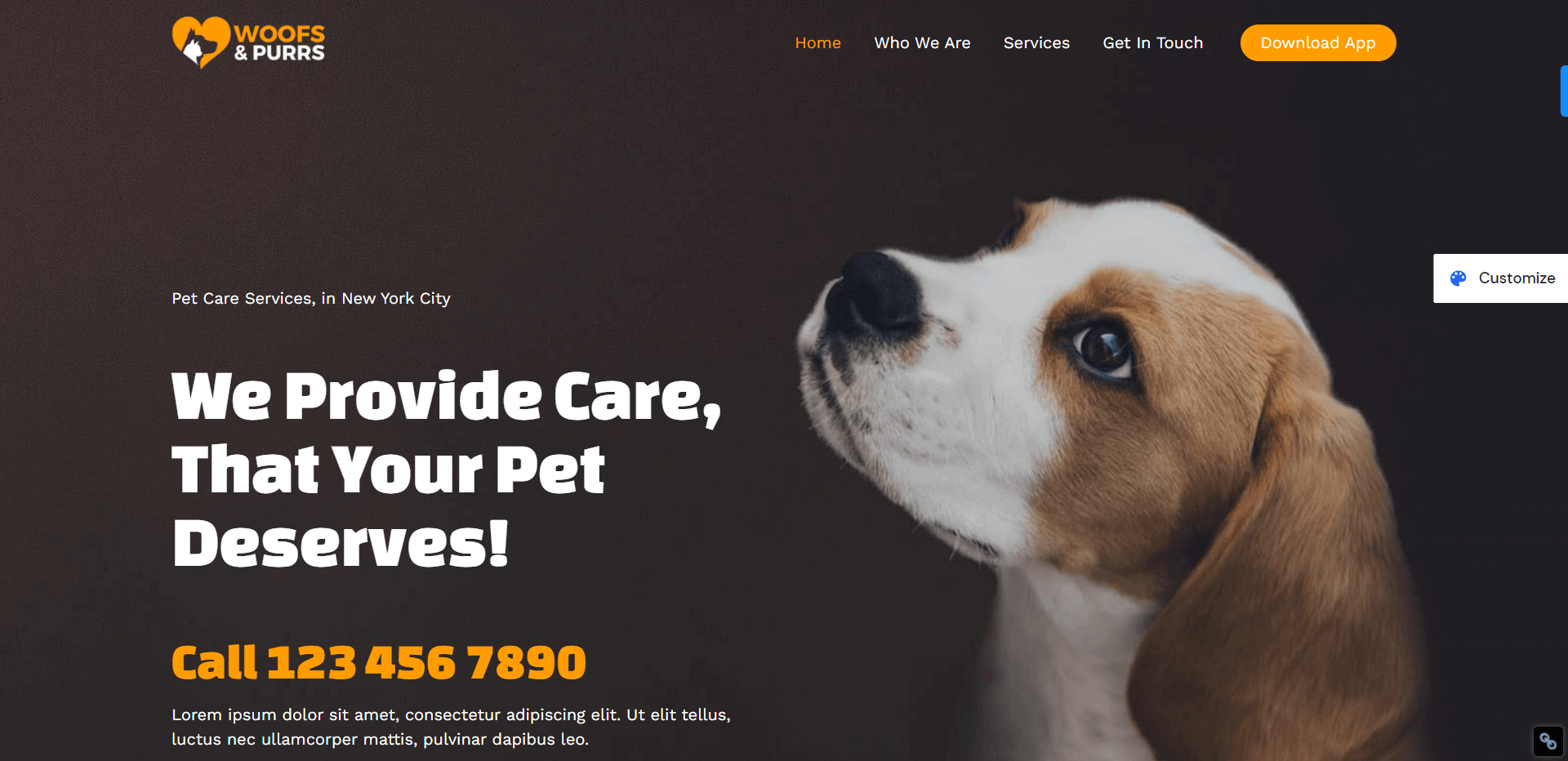 best-wordpress-themes-for-dog-trainers-astra