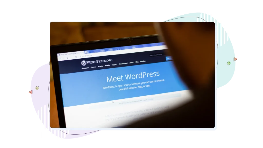 A WordPress website.