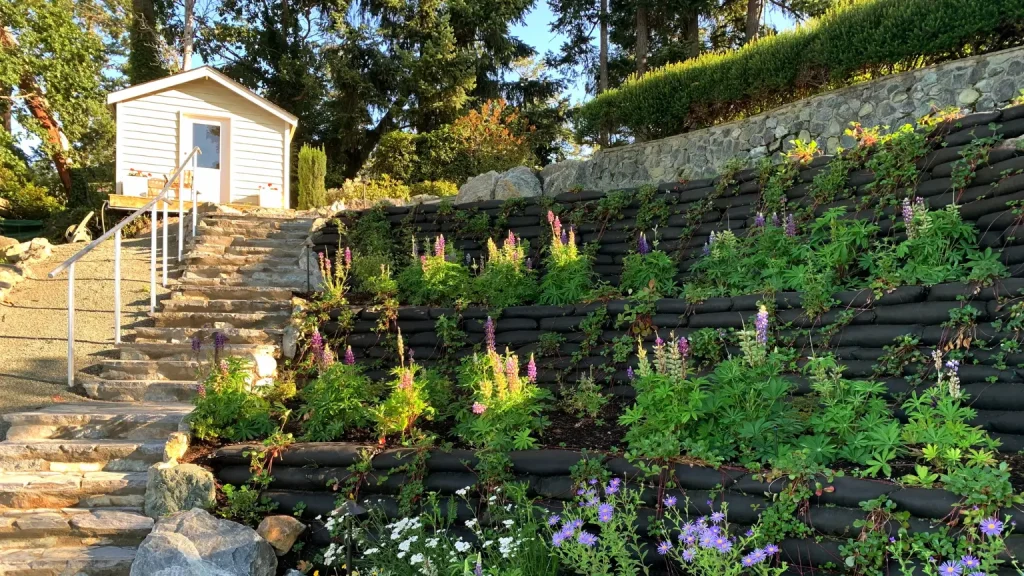 Stairs and garden leading up to a shed