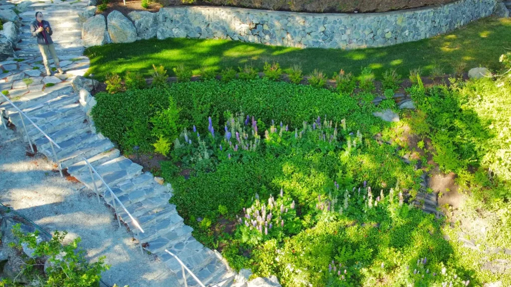 Backyard landscaping pathway and stairs