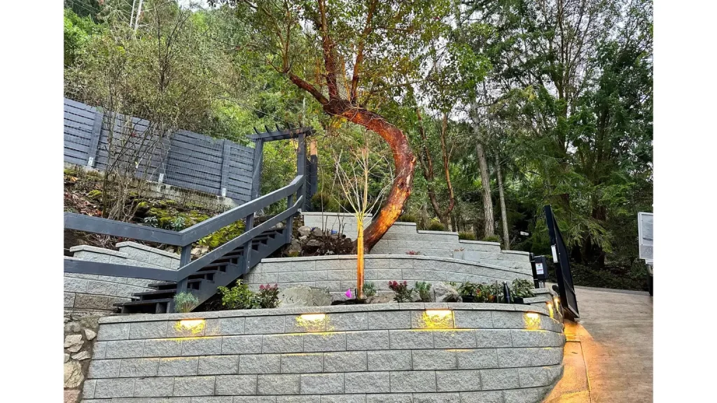 A tree above a retaining wall and lighting fixture