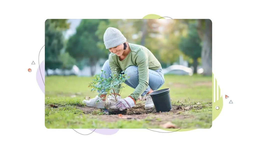 A young tree planted in soil.