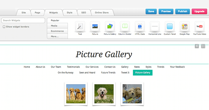 Using the Picture Gallery widget