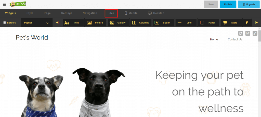 Using the Website Builder File Manager
