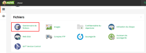 Comment naviguer dans le Gestionnaire de Fichiers cPanel 1