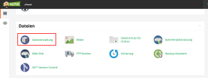 Wie Sie im Dateiverwaltung des cPanels navigieren 1