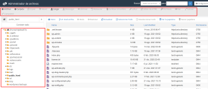 Cómo Navegar por el Administrador de Archivos del cPanel 