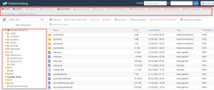 Wie Sie im Dateiverwaltung des cPanels navigieren 2