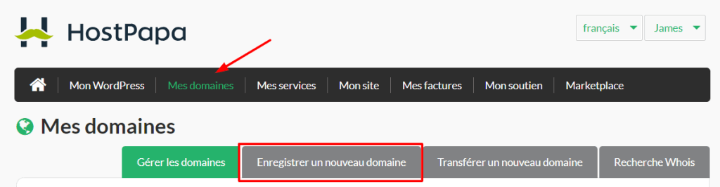 sur Enregistrer un nouveau domaine.
