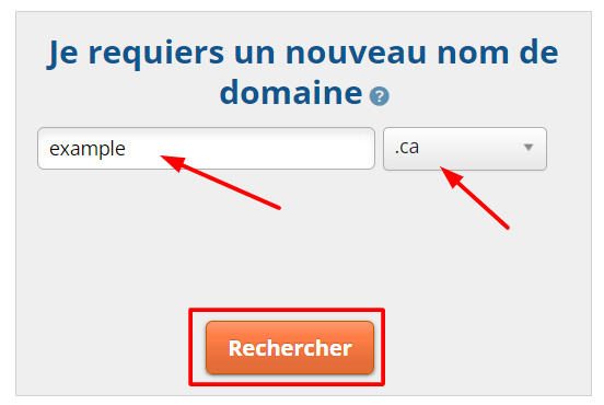 Entrez votre nom de domaine et votre extension.