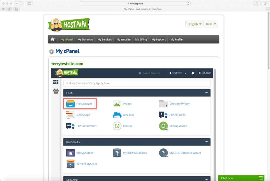 cPanel