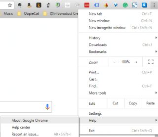 Select Help --> About Google Chrome to Update