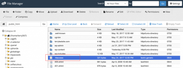 cPanel File Manager