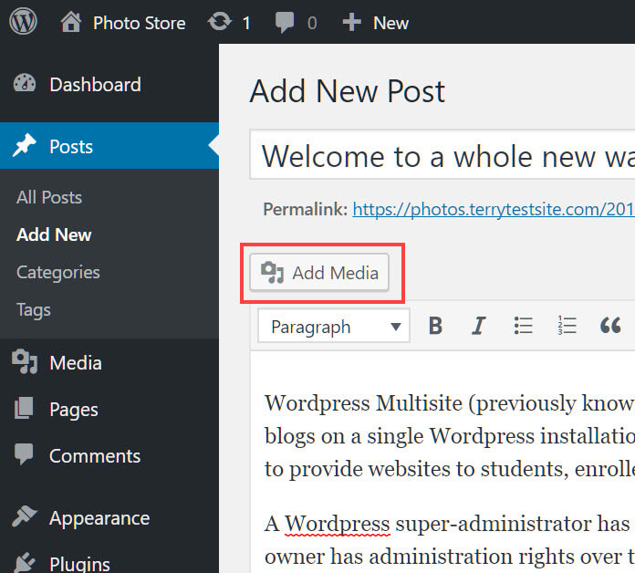 How to Fix WordPress GIF Not Playing in 2023 [SOLVED]