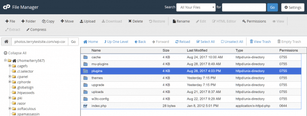 cPanel File Manager