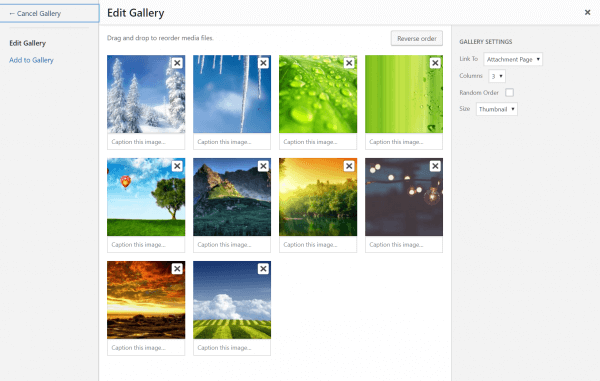 Create a New Gallery