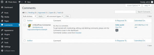 Comments - Que faire une fois WordPress installé