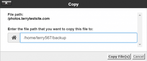 Backup path