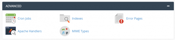 cPanel Advanced