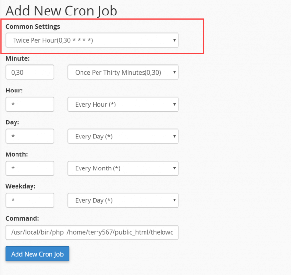 Cron Job Common Settings