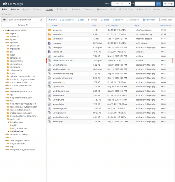 cPanel File Manager