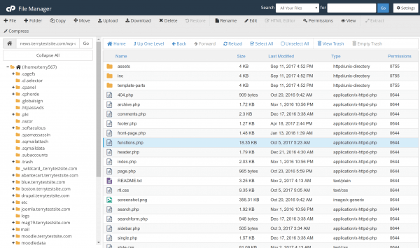 cPanel File Manager