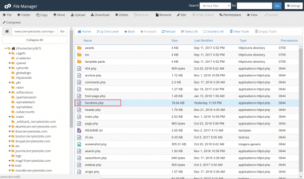 cPanel File Manager