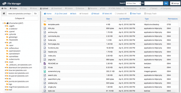 cPanel File Manager