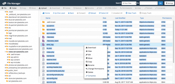 cPanel File Manager