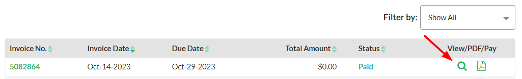 Click on the view icon next to the invoice to open the details. 