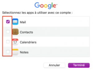 Comment mettre en place la messagerie Google Workspace dans Apple Mail pour Mac 2