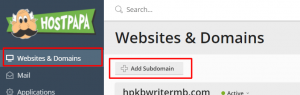 How to set up wildcard subdomains in Plesk (Linux)