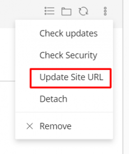 How to update a WordPress URL in Plesk 1