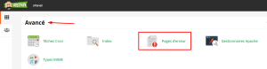 Comment mettre en place des pages d’erreur personnalisées dans cPanel 1