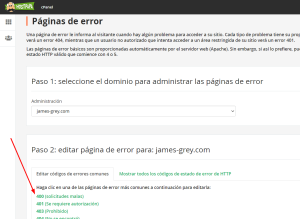 Cómo configurar páginas de error personalizadas en cPanel 1