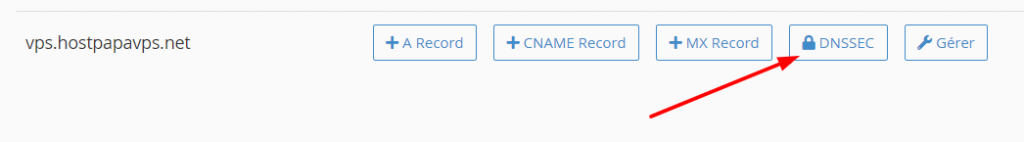 Cliquez sur le bouton « DNSSEC ».