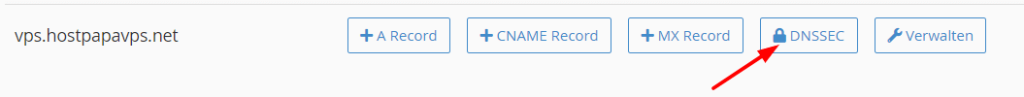 klicken Sie auf den Button “DNSSEC”
