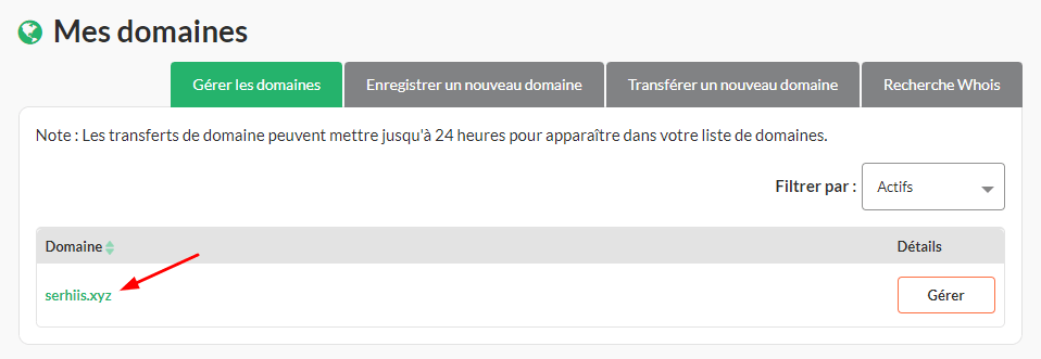 Cliquez sur le domaine que vous souhaitez mettre à jour.