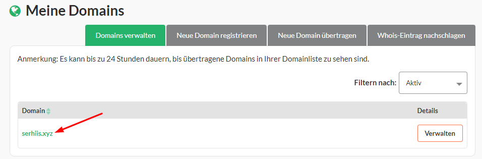 Klicke auf die Domain, die Du aktualisieren möchtest.