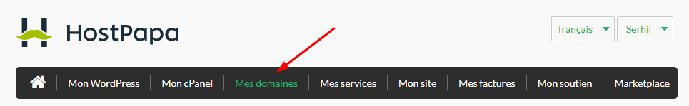 Cliquez sur Mes domaines.