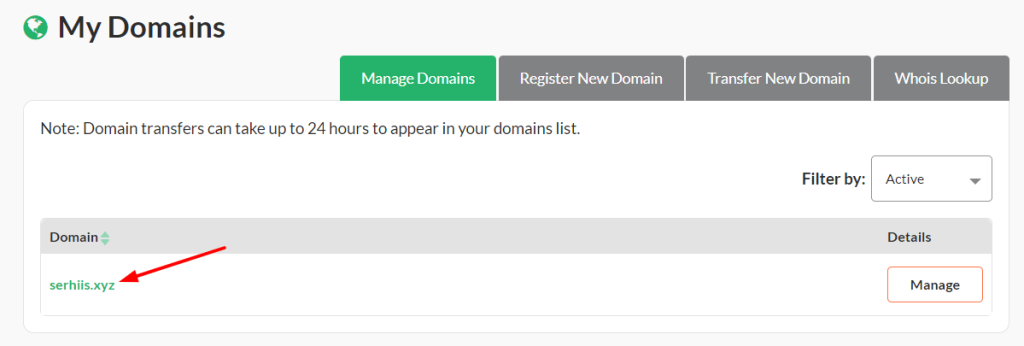 Select the domain you want to manage