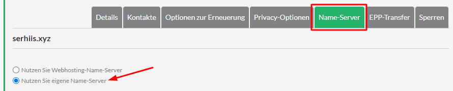 Wähle die Option Nutzen Sie eigene Name-Server.